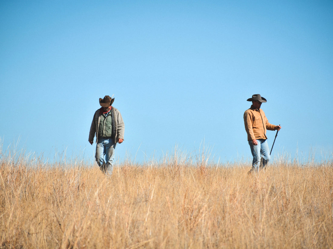 Jeffers Cattle Co.